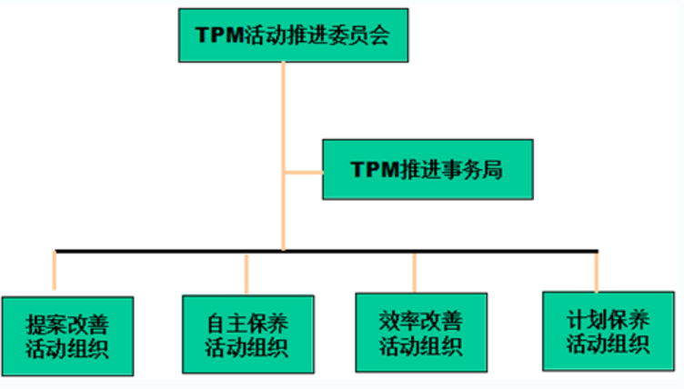 组织